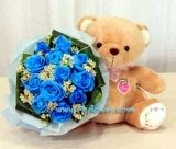 Beary Blue