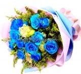 Bluebelles