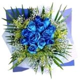 Blue Danube