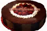 Cake2Go-Sugar Free Tiramisu