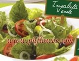 Italiannis - Insalata Verde