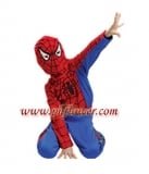 Spiderman Costume