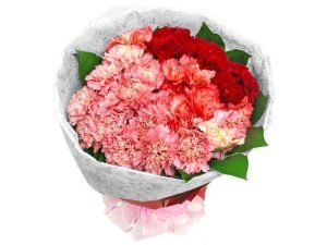 Mixed Carnations Bouquet