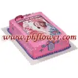 Barbie Castle Picture Cake