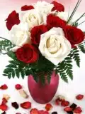 Rose N Candy