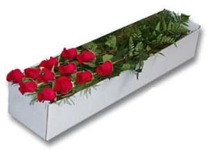 12 Red Roses in a Box to Cavite