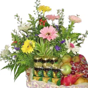 Gerbera Mixed With 6 Chicken Essence & Fruits