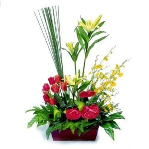Bouquet Vivacious