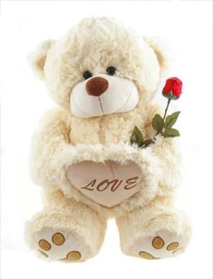 Teddy with Red Rose