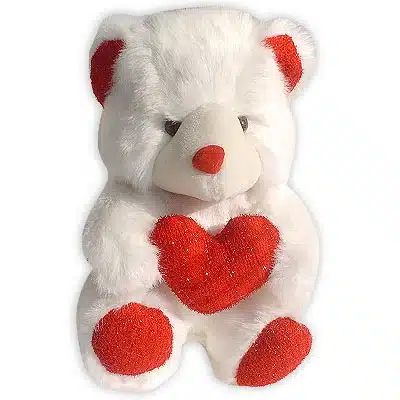 Send flowers to Philippines, Flower delivery Philippines, Send roses to Philippines Flower shop Philippines Red in White Bear