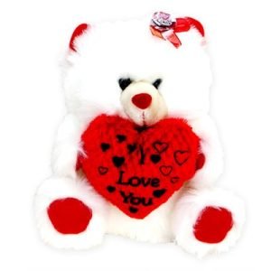 White Teddy Love