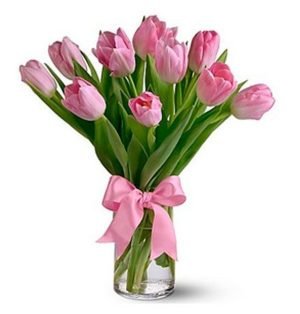 Romantic Pink Tulips