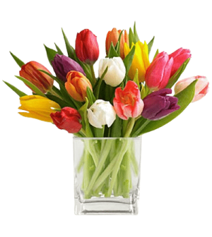 Vibrant 15 Pcs Tulips In Vase