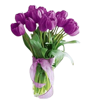 Violet Tulips In Vase