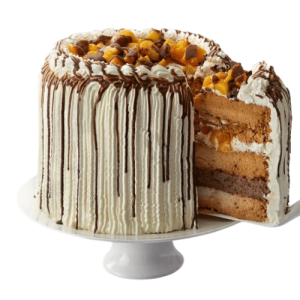 Conti's Mango Bravo Mini Cake Taguig