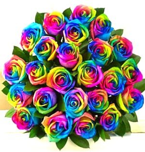 36pcs Rainbow Roses Bouquet
