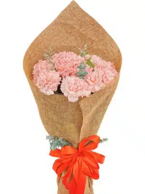 10pcs Pink Carnation Bouquet