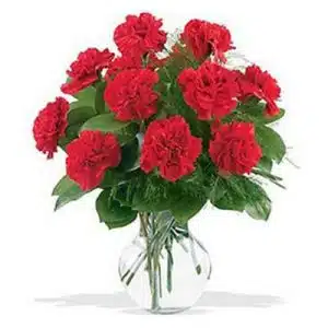 Elegant Red Carnation in a Vase