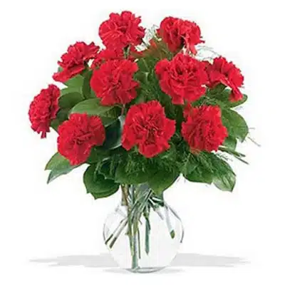 Send flowers to Philippines, Flower delivery Philippines, Send roses to Philippines Flower shop Philippines Elegant Red Carnation in a Vase