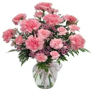 Charming Pink Carnation in a Vase