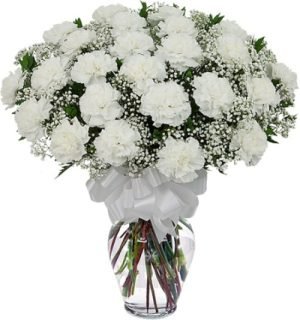 White Carnation In A Vase