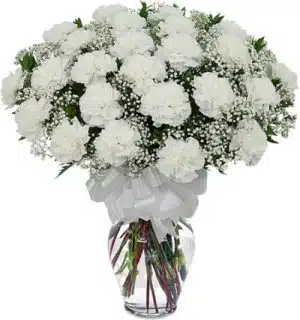 White Carnation In A Vase