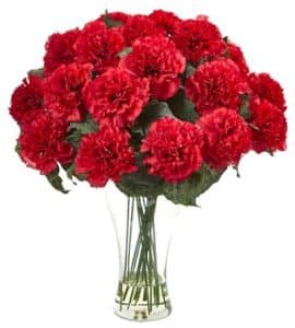 Classic Red Carnation In Vase