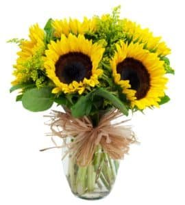 Radiant Sunflower in a Vase