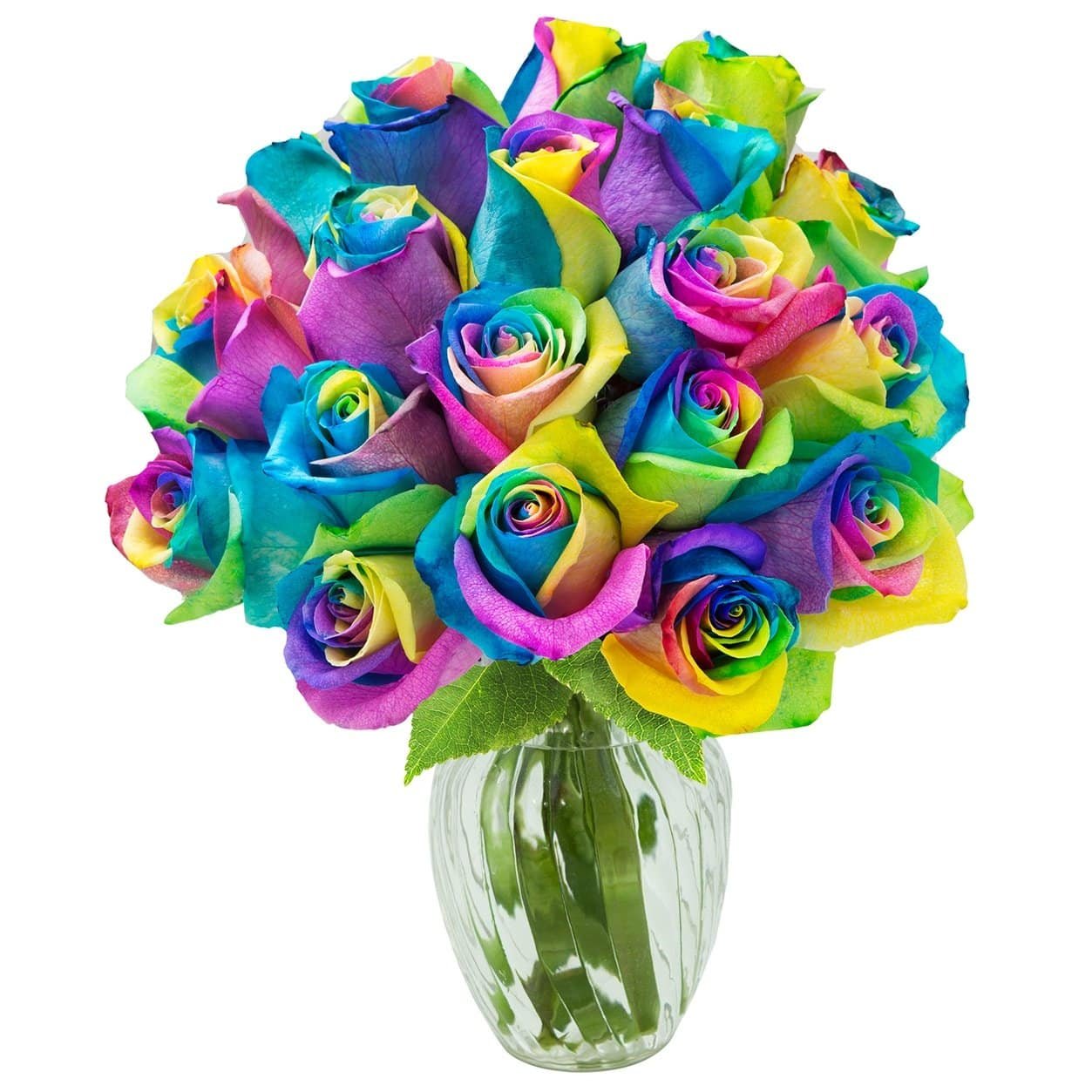 Send flowers to Philippines, Flower delivery Philippines, Send roses to Philippines Flower shop Philippines 24pcs Rainbow Rose in a Vase