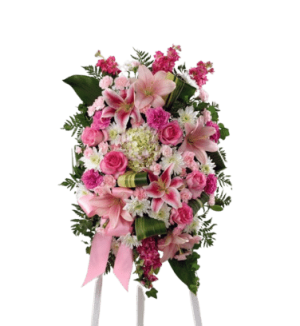 The Comforting Standing Spray