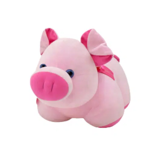 Send flowers to Philippines, Flower delivery Philippines, Send roses to Philippines Flower shop Philippines Schroeder Pig