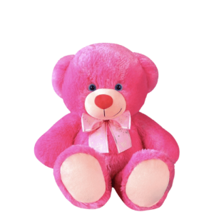 Casey Medium Fuchsia Bear