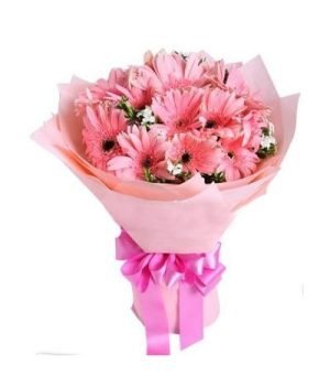 10pcs Pink Gerbera