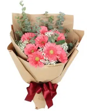 Pink Gerbera Bouquet