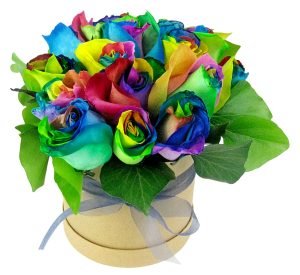 Bloom Love