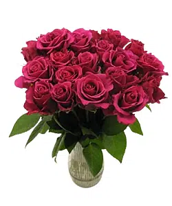 Send flowers to Philippines, Flower delivery Philippines, Send roses to Philippines Flower shop Philippines 24pcs Red Blush