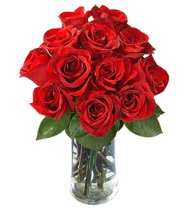 12pcs Red Rose in Vase to Pangasinan