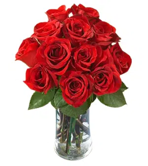 12pcs Red Rose in Vase to Pangasinan