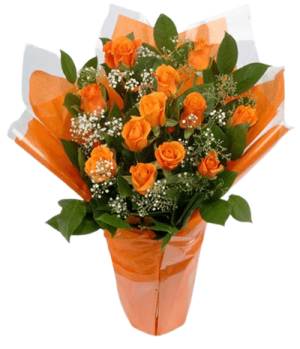 12pcs Orange Rose in Vase
