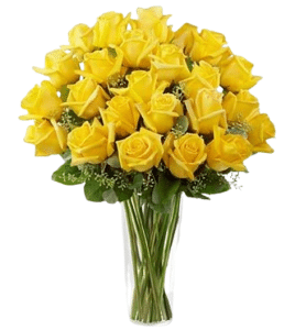 24pcs Yellow Roses in Vase