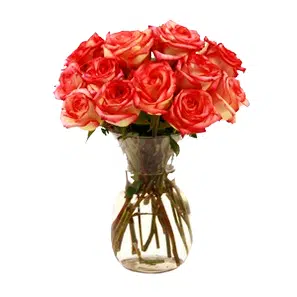 12pcs Peach Roses in Vase