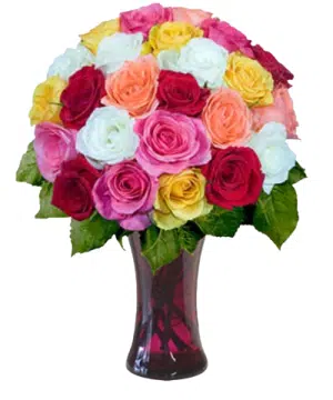 24pcs Multicolored Roses in Vase
