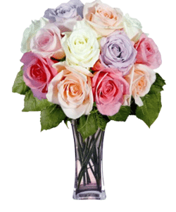 12pcs Multicolored Roses in Vase