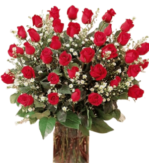 36pcs Red Roses in Vase to Taguig
