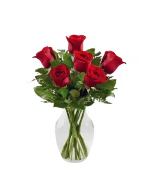 Send flowers to Philippines, Flower delivery Philippines, Send roses to Philippines Flower shop Philippines 6pcs Red Roses in Vase to Laguna