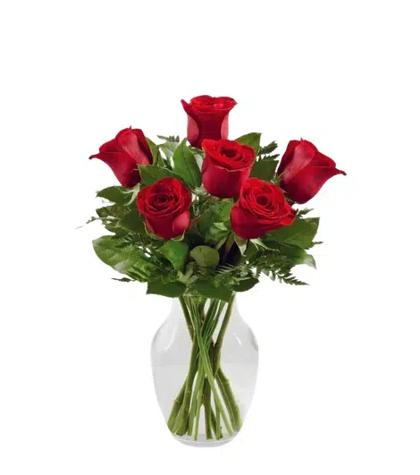 6pcs Red Roses in Vase to Laguna