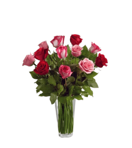 Red n' Pink Roses in Vase