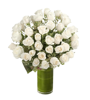 24pcs White Roses in Vase to Taguig
