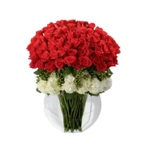 5dozen Red Roses in Vase