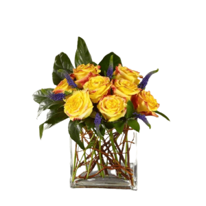 Sun Blushed Rose in Vase